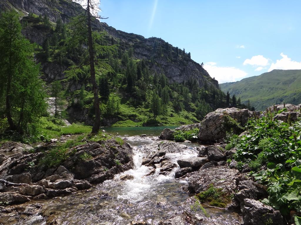 Ausserraingut Флахау Экстерьер фото